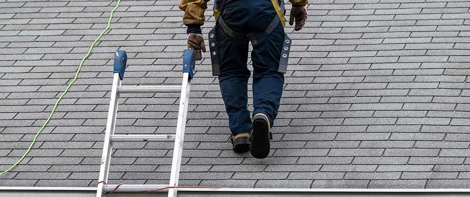 roofing contractor performing a professional roof inspection