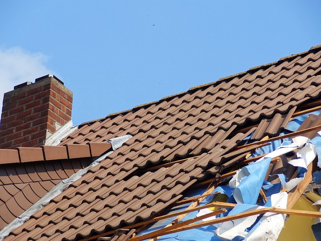 Damaged Roof - Picture of damaged roof shingles after a storm